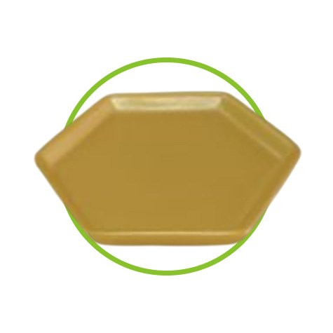 categoria 2